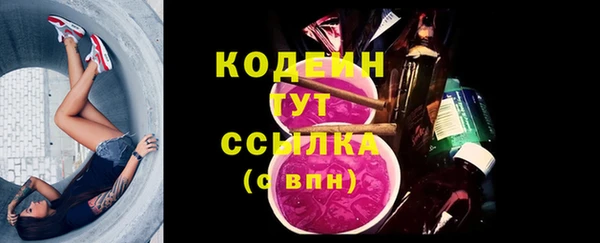 apvp Армянск
