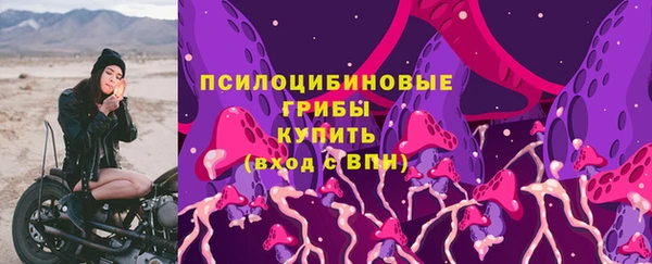 apvp Армянск