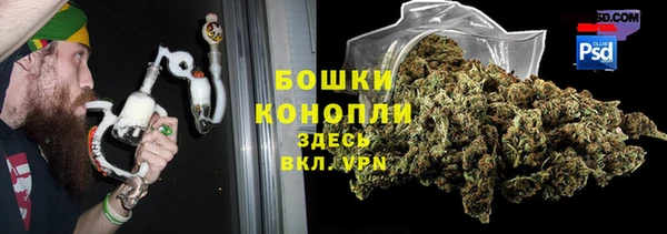 тгк Нея