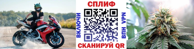 Конопля конопля Ступино